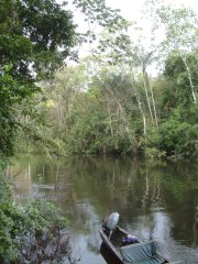 04-The Rio Cuyabena near our eco lodge